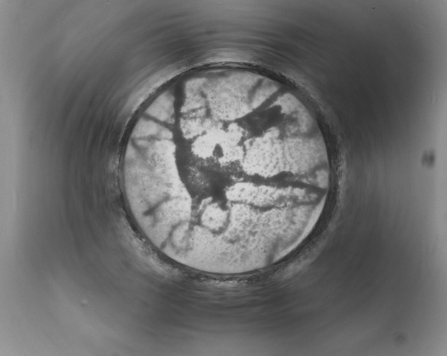 X0000112151121200909181416