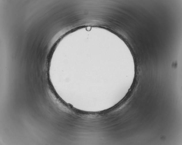X0000112151122200909181416