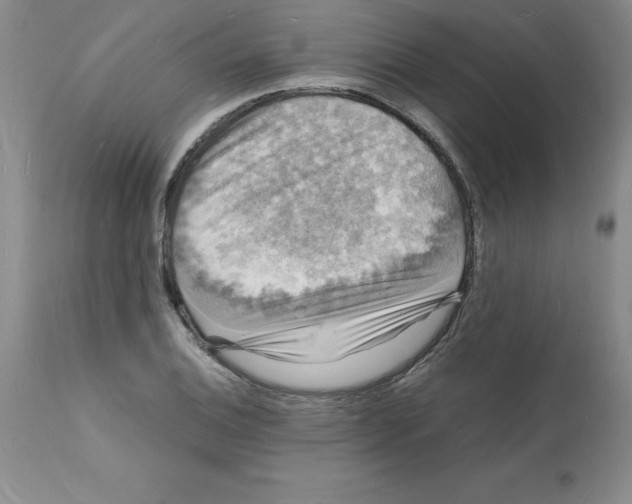 X0000112151124200909181416