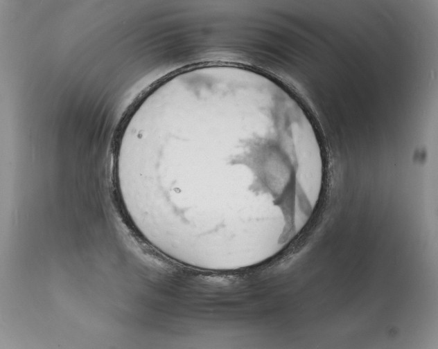 X0000112151125200909181416