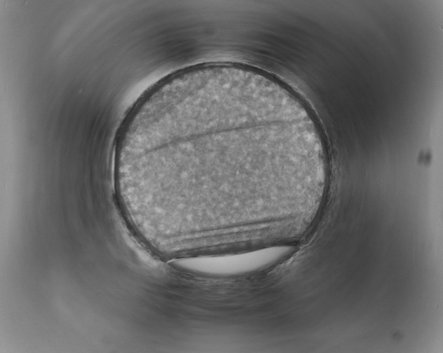 X0000112151127200909181416