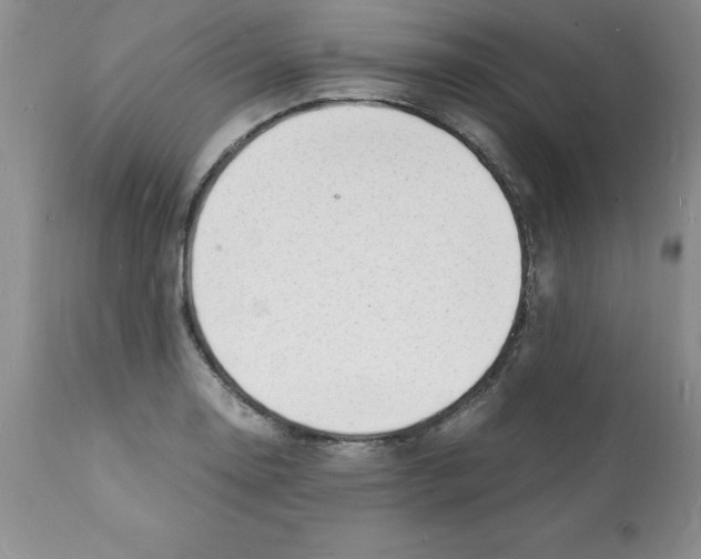 X0000112151130200909181416