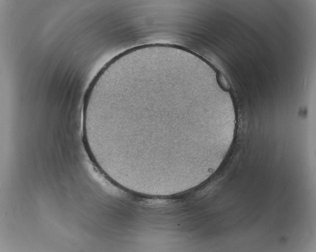 X0000112151132200909181416