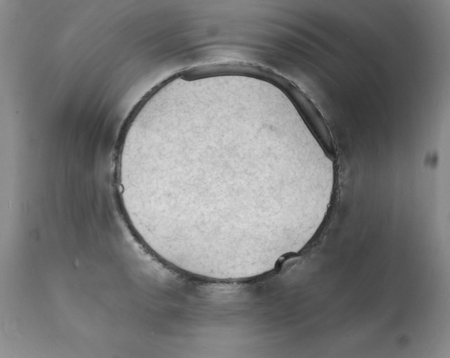 X0000112151134200909181416