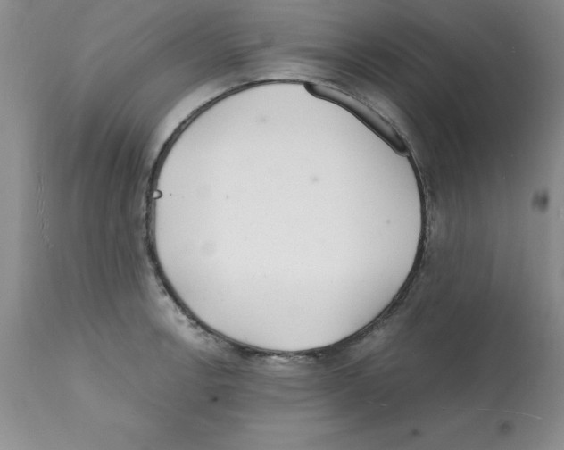X0000112151138200909181416