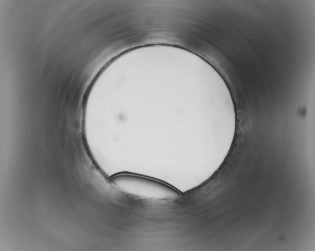 X0000112151140200909181416