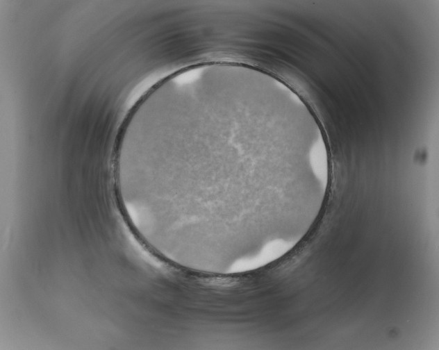 X0000112151141200909181416