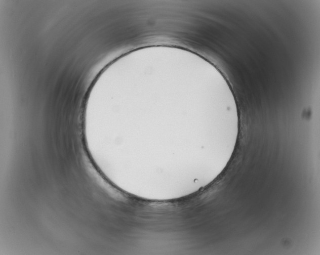 X0000112151142200909181416