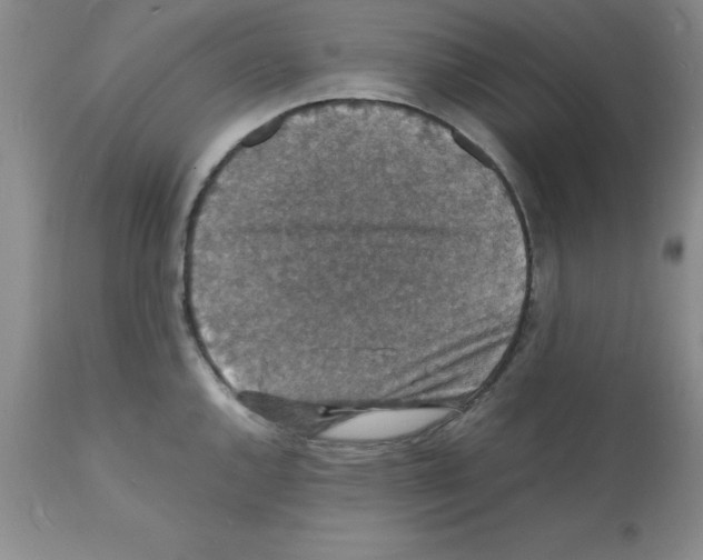 X0000112151144200909181416