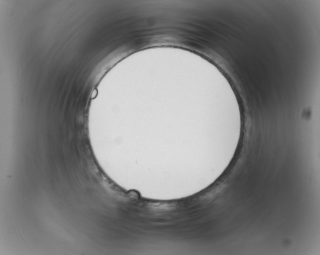 X0000112151145200909181416