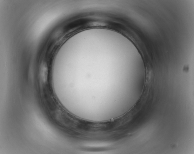 X0000112151151200909181416