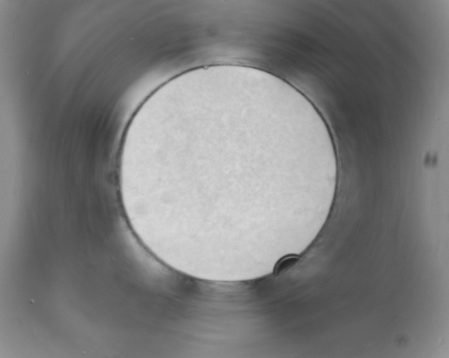 X0000112151152200909181416