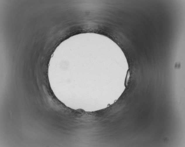 X0000112151153200909181415