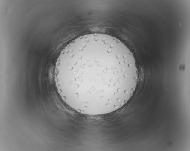 X0000112151154200909181415