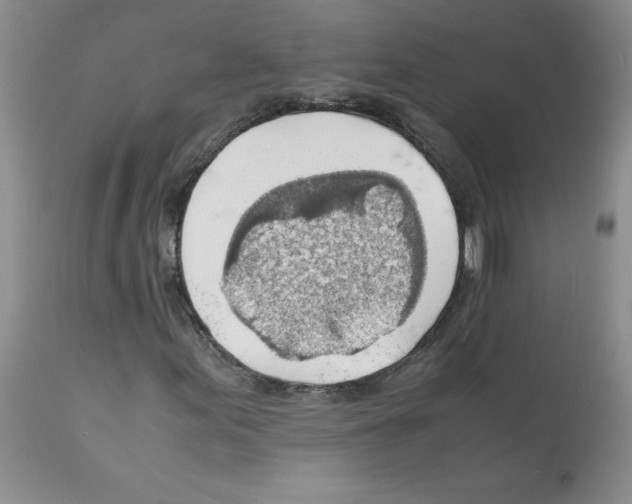 X0000112151155200909181415