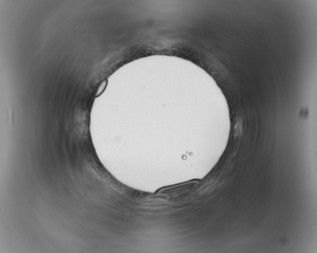 X0000112151156200909181415