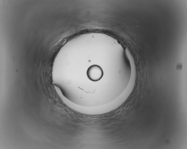 X0000112151157200909181415