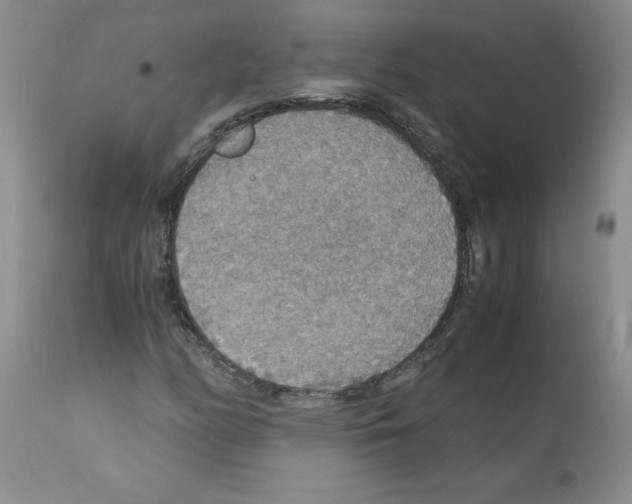 X0000112151158200909181415