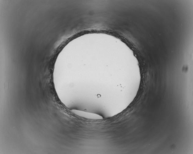 X0000112151160200909181415