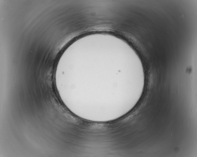 X0000112151162200909181415