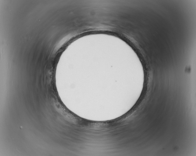 X0000112151163200909181415