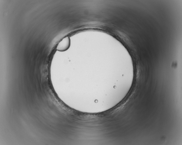 X0000112151164200909181415