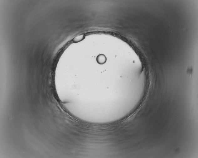 X0000112151165200909181415