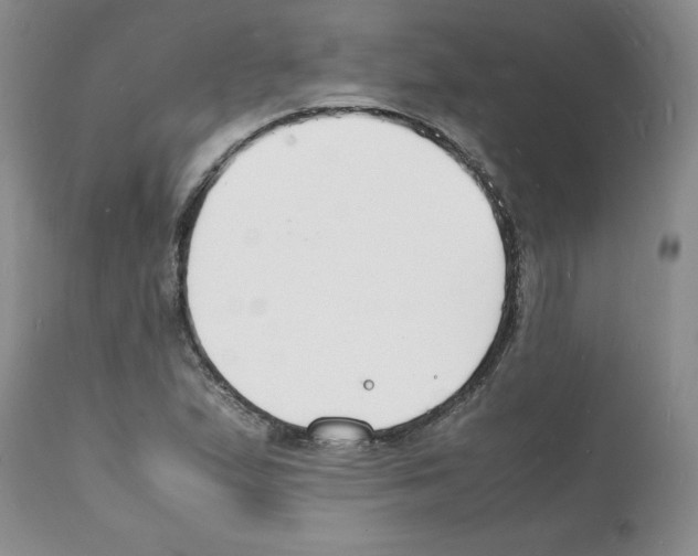 X0000112151167200909181415