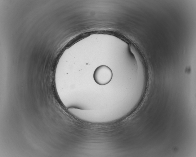 X0000112151169200909181415