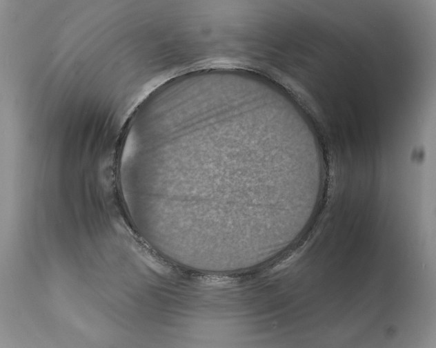 X0000112151170200909181415