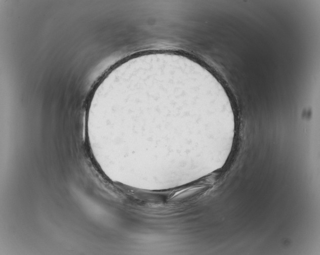 X0000112151171200909181415