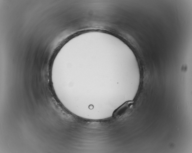 X0000112151172200909181415