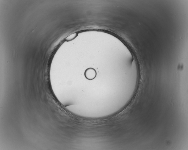 X0000112151173200909181415