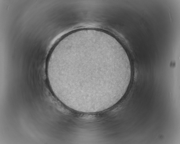 X0000112151174200909181415