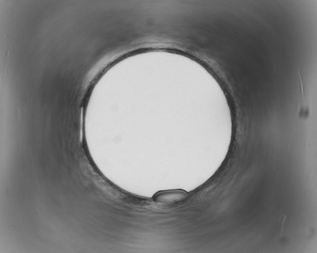 X0000112151175200909181415