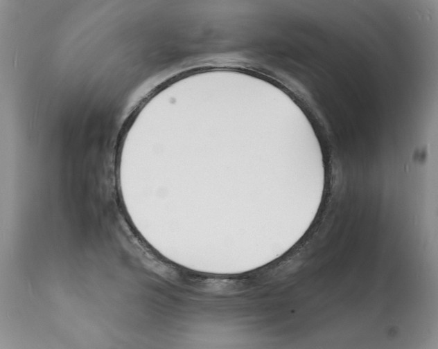 X0000112151176200909181415