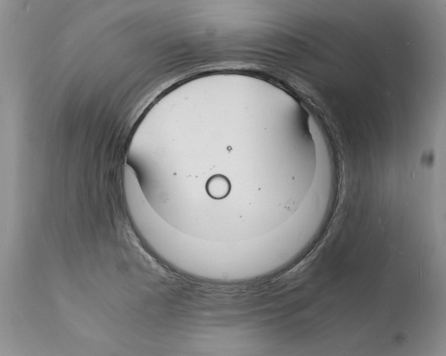 X0000112151177200909181415