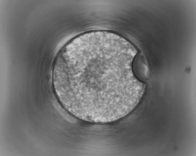 X0000112151179200909181415
