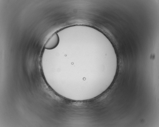X0000112151182200909181415
