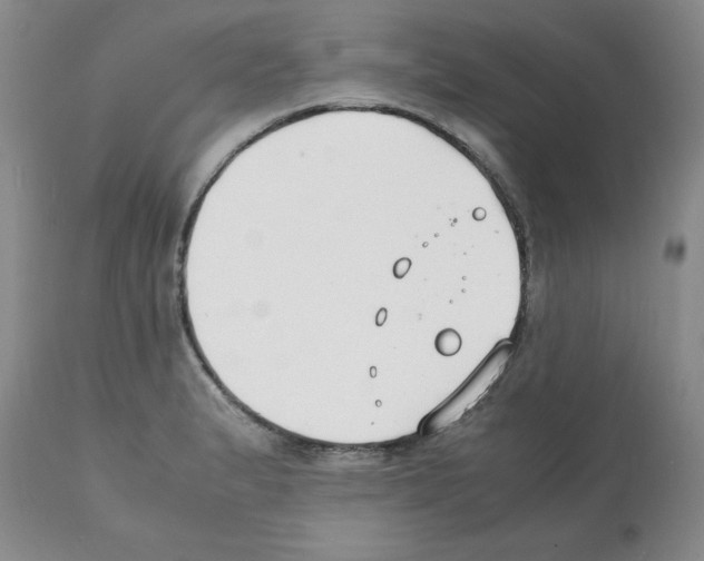 X0000112151183200909181415