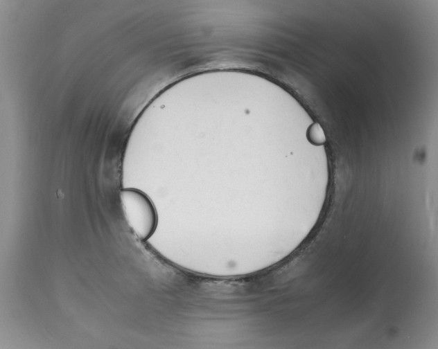 X0000112151185200909181415
