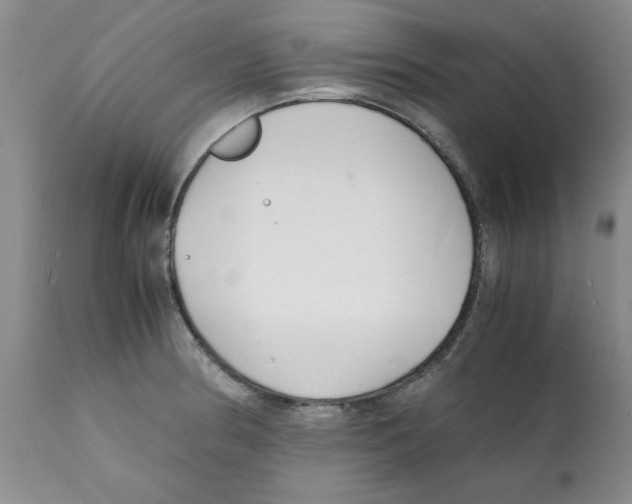 X0000112151186200909181415