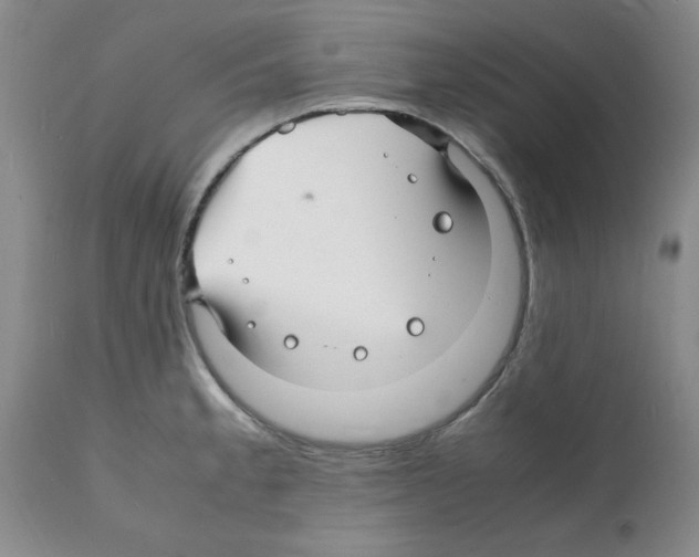 X0000112151189200909181415