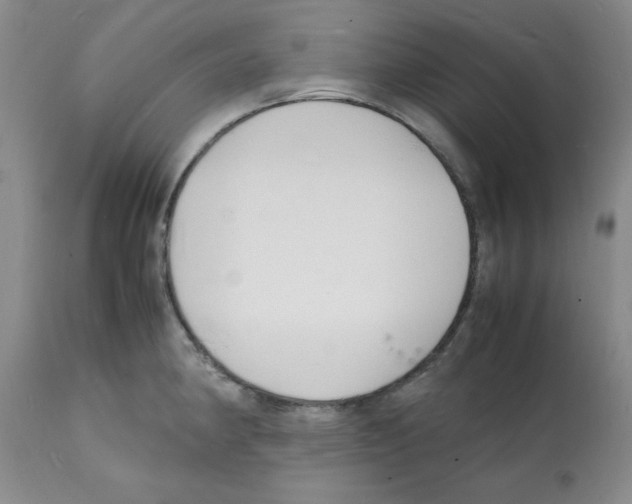 X0000112151190200909181415