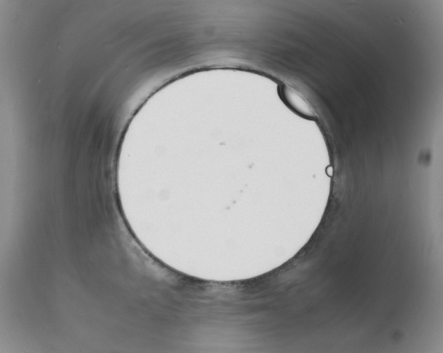 X0000112151191200909181415