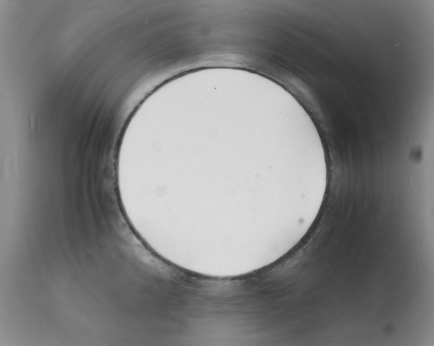 X0000112151192200909181415