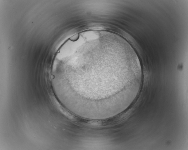 X0000112151194200909181415