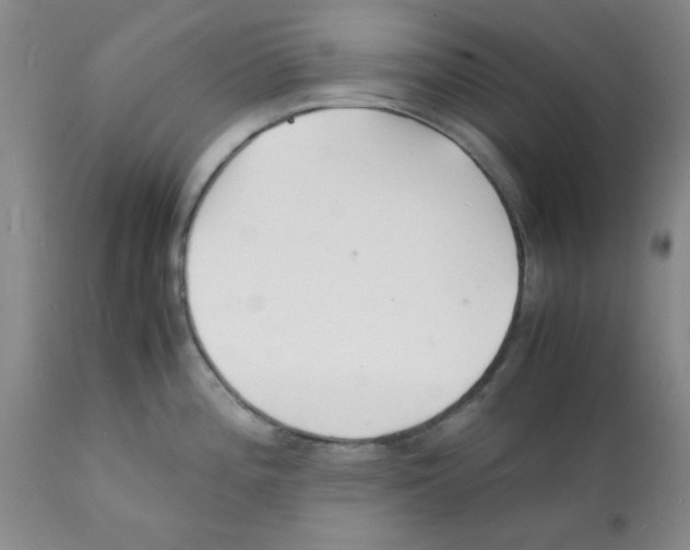 X0000112151196200909181415