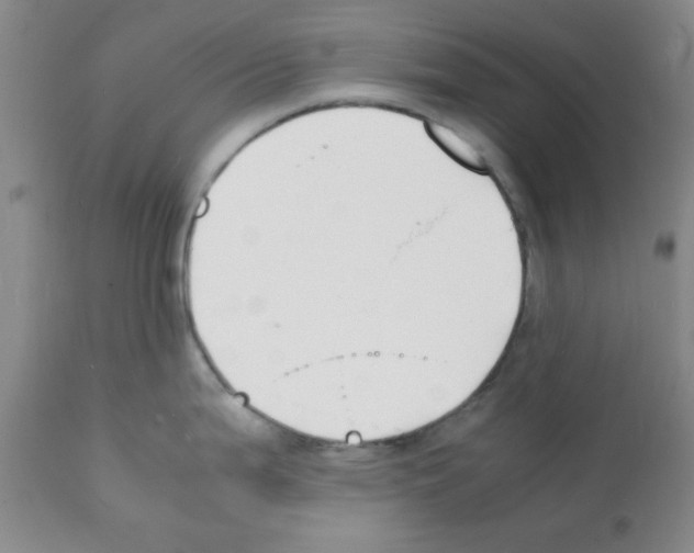 X0000112151199200909181415