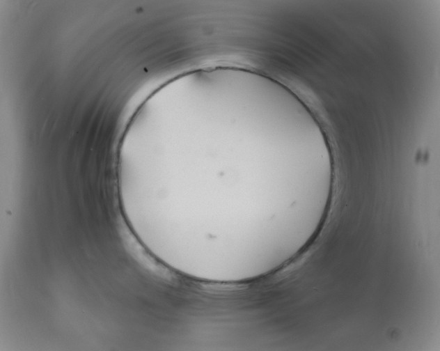 X0000112151200200909181415